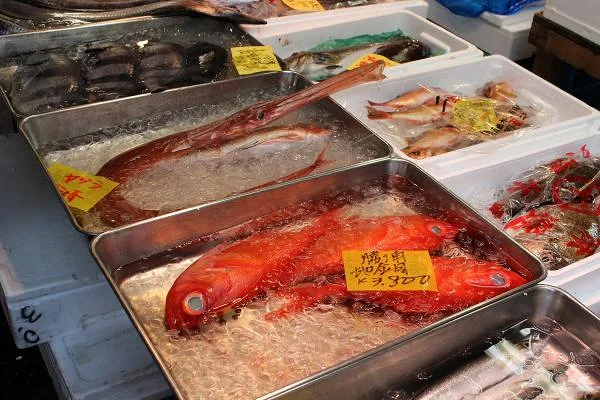 Tsukiji Market — Marché aux poissons de Tsukiji (Japon)