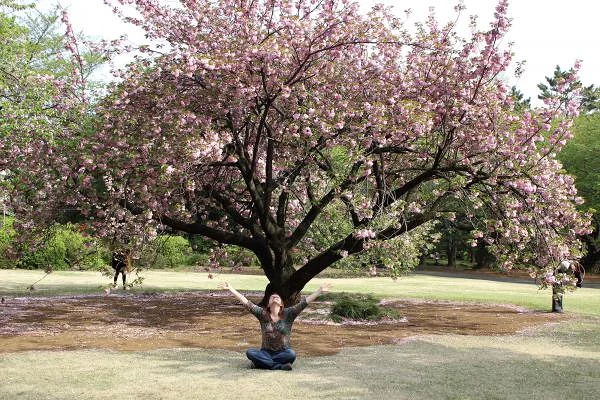 Shinjuku Gyoen National Garden (Dudy) — Parc Shinjuku Gyoen (Japon)
