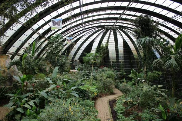 La Serre à papillons de Selvatura Park — Monteverde (Costa Rica)