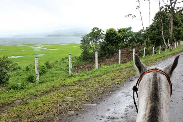 Balade à cheval — Arenal (Costa Rica)