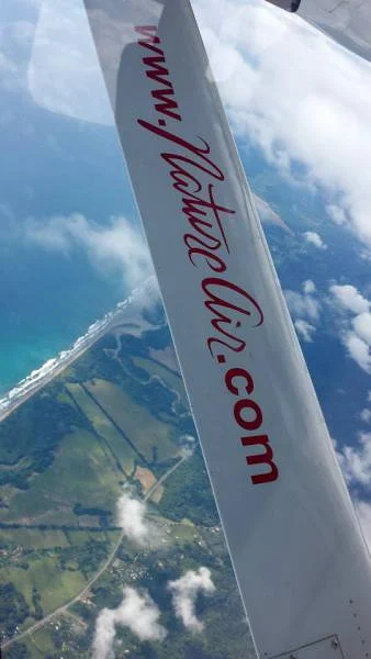 Up in the Air! (Costa Rica)