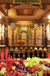 Tooth Temple