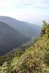 World's End