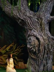 Spectacle de Pocahontas à Animal Kingdom