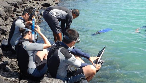Snorkelling en eaux limpides