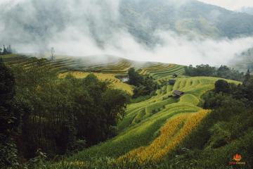 Paysages de Hoang Su Phi, Vietnam