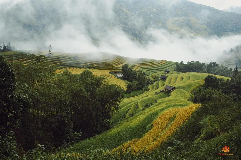 Paysages de Hoang Su Phi, Vietnam