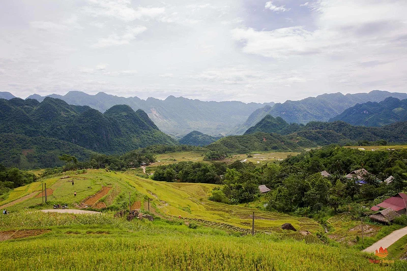 Réserve Naturelle de Pù Luông