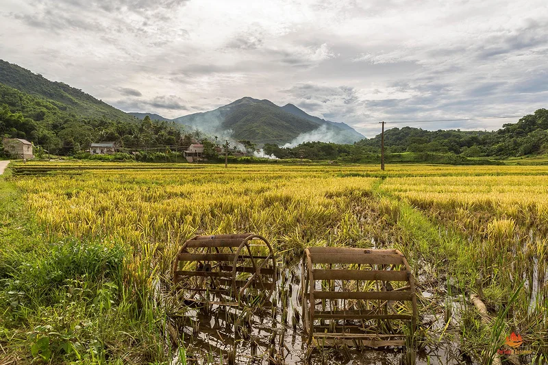 Au milieu des rizières de Pu Luong, Vietnam — Réserve Naturelle de Pù Luông (Viêt Nam)