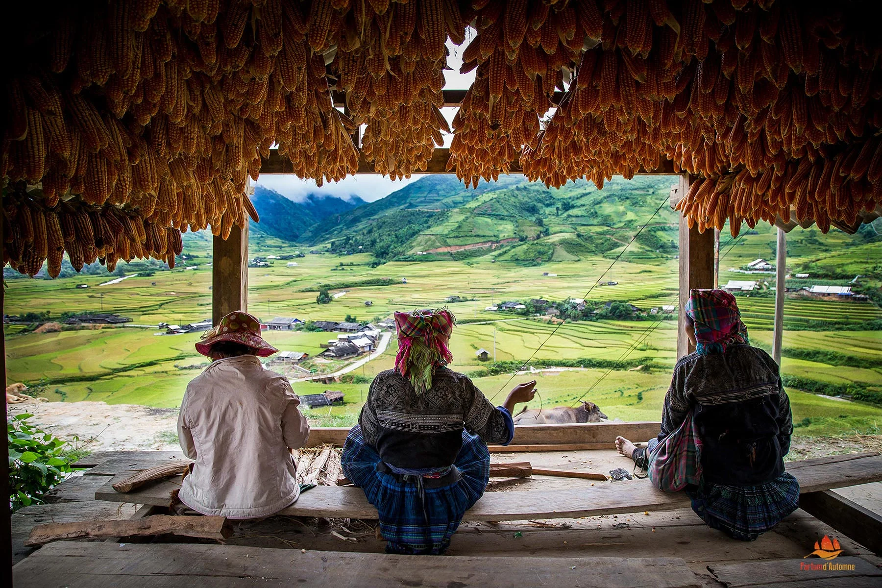 Femmes Hmong à Mu Cang Chai Femmes Hmong à Mu Cang Chai — Rizières en terrasses de Mù Cang Chải (Viêt Nam)
