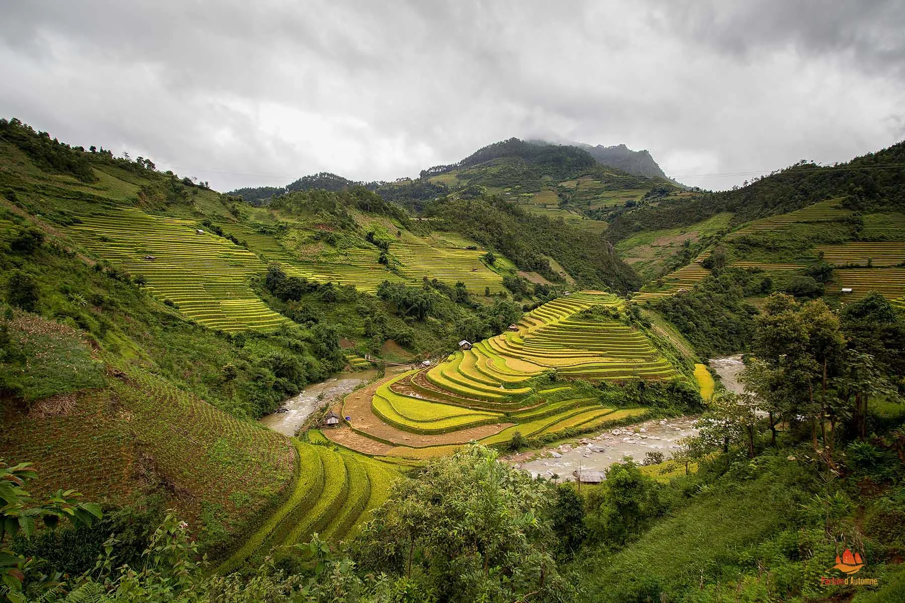 Spectaculaire paysage à Mu Cang Chai
