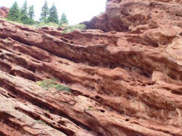 Les sept taureaux de Jeti Oguz