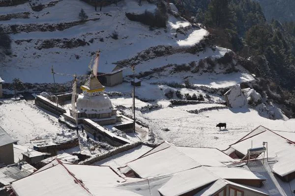 Yak de Namche bazar (Népal)