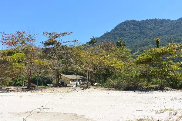 Reste de forêt tropicale — Rio de Janeiro (Brésil)