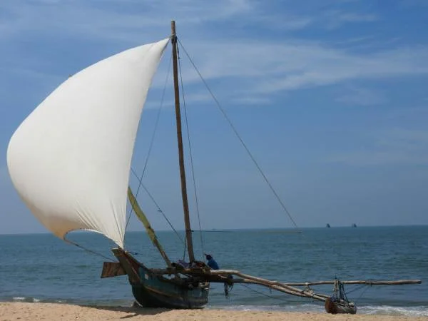 Plage de Negombo Plage de Negombo — Plage de Negombo (Sri Lanka)