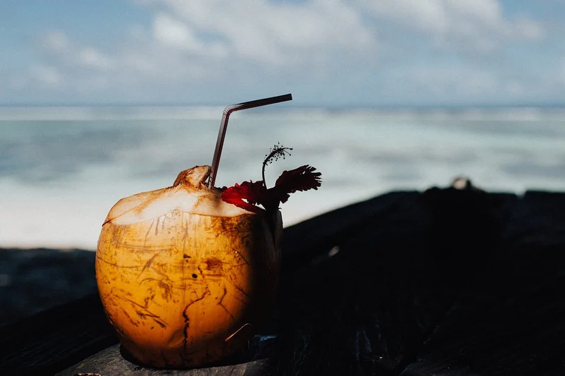 Croisiere Grenadines Noix de Coco