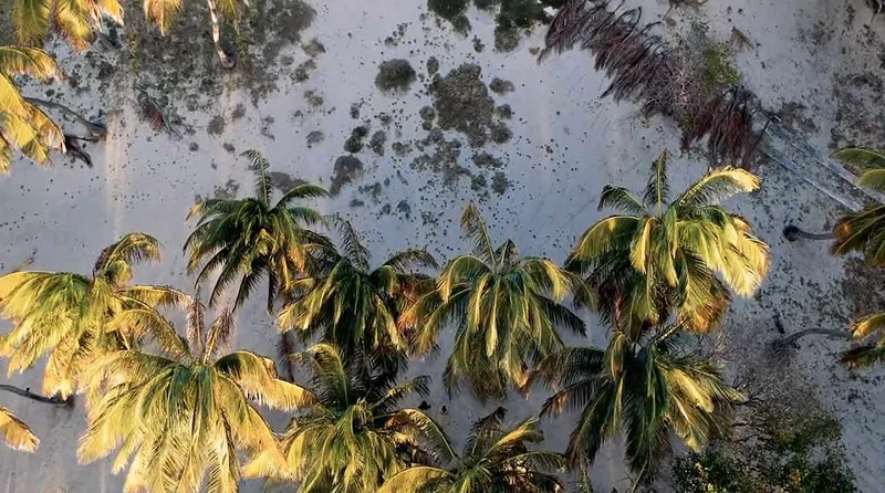 Croisiere Catamaran Grenadines vue du ciel (Sainte-Lucie)