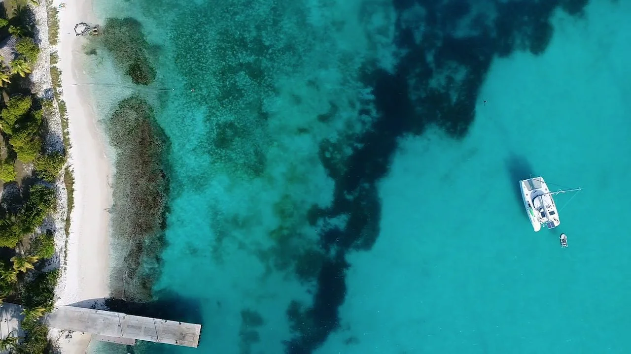 Croisiere Grenadines Tobago Cays (Sainte-Lucie)