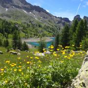 Parc national du Mercantour