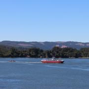 Fort Niebla