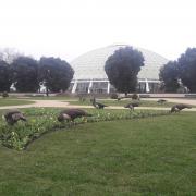 Jardins du Palais de cristal