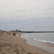 Plage Redonda