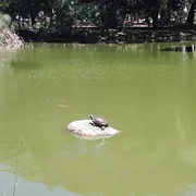 Parc Moinhos de Vento