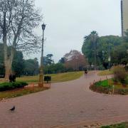 Barrancas de Belgrano