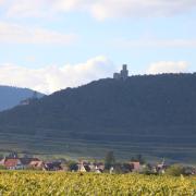 Sélestat