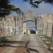 Château de Burgos
