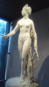 Venus