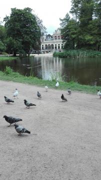 Vondelpark