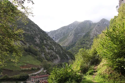 Picos de Europa