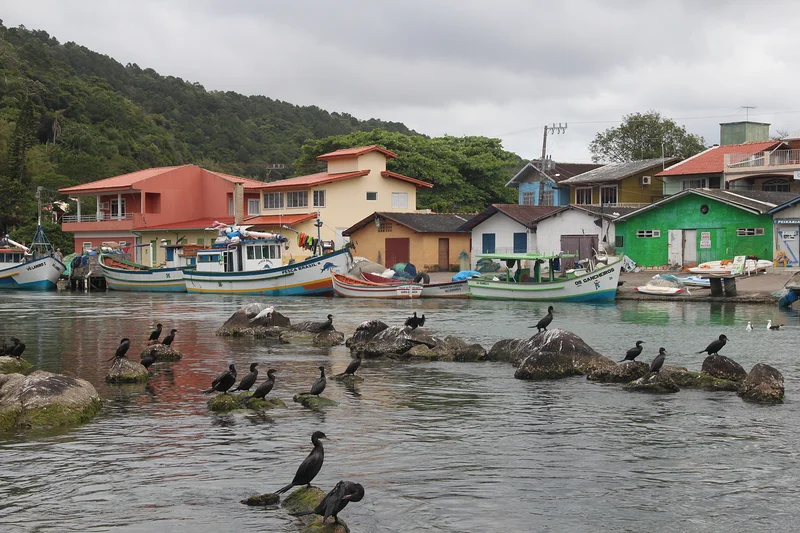 Otros Passarinhos — Plage de Barra da Lagoa (Brésil)
