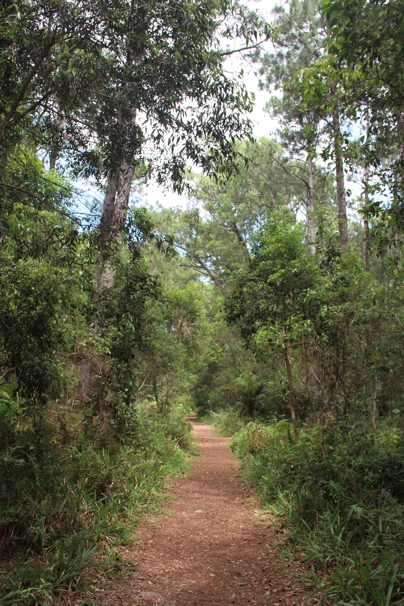 Caminho — Florianopolis (Brésil)