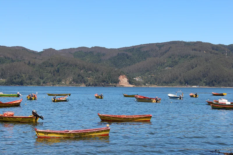 Valdivia y la región de Los Ríos