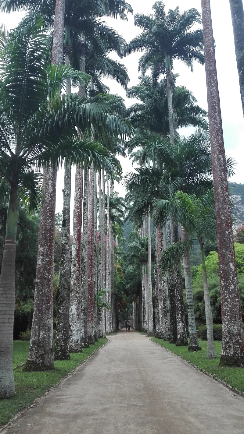 Cidade Maravilhosa Part 2