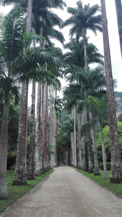 Cidade Maravilhosa Part 2