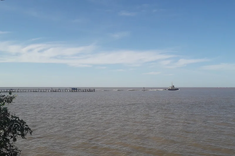 Rio de la Plata — Réserve écologique Costanera Sur (Argentine)