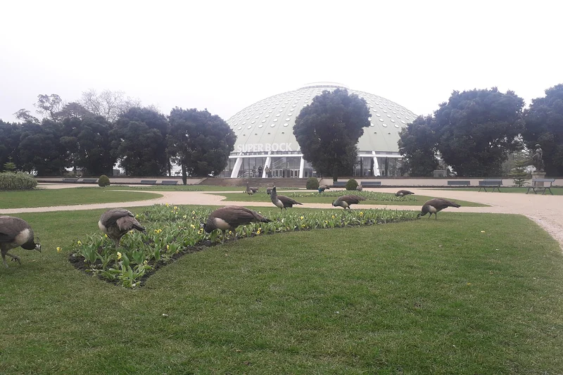 #6 Jardins du Palais de cristal