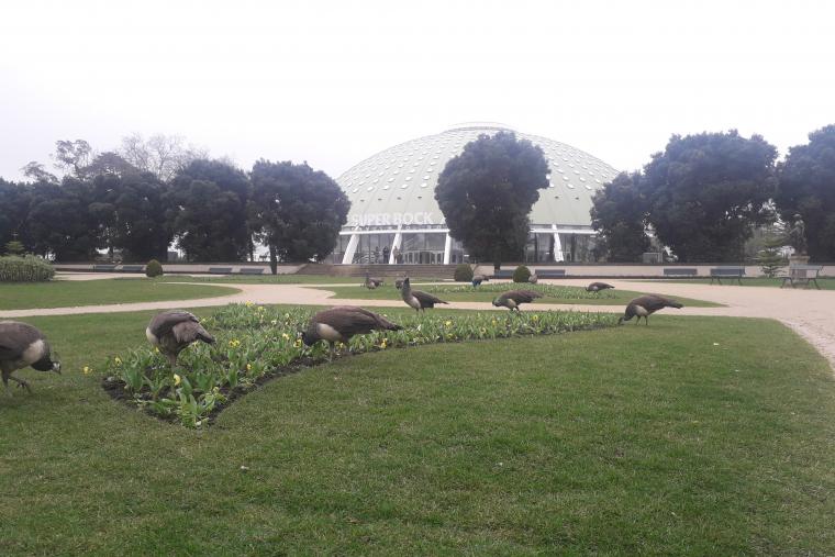 #6 Jardins du Palais de cristal