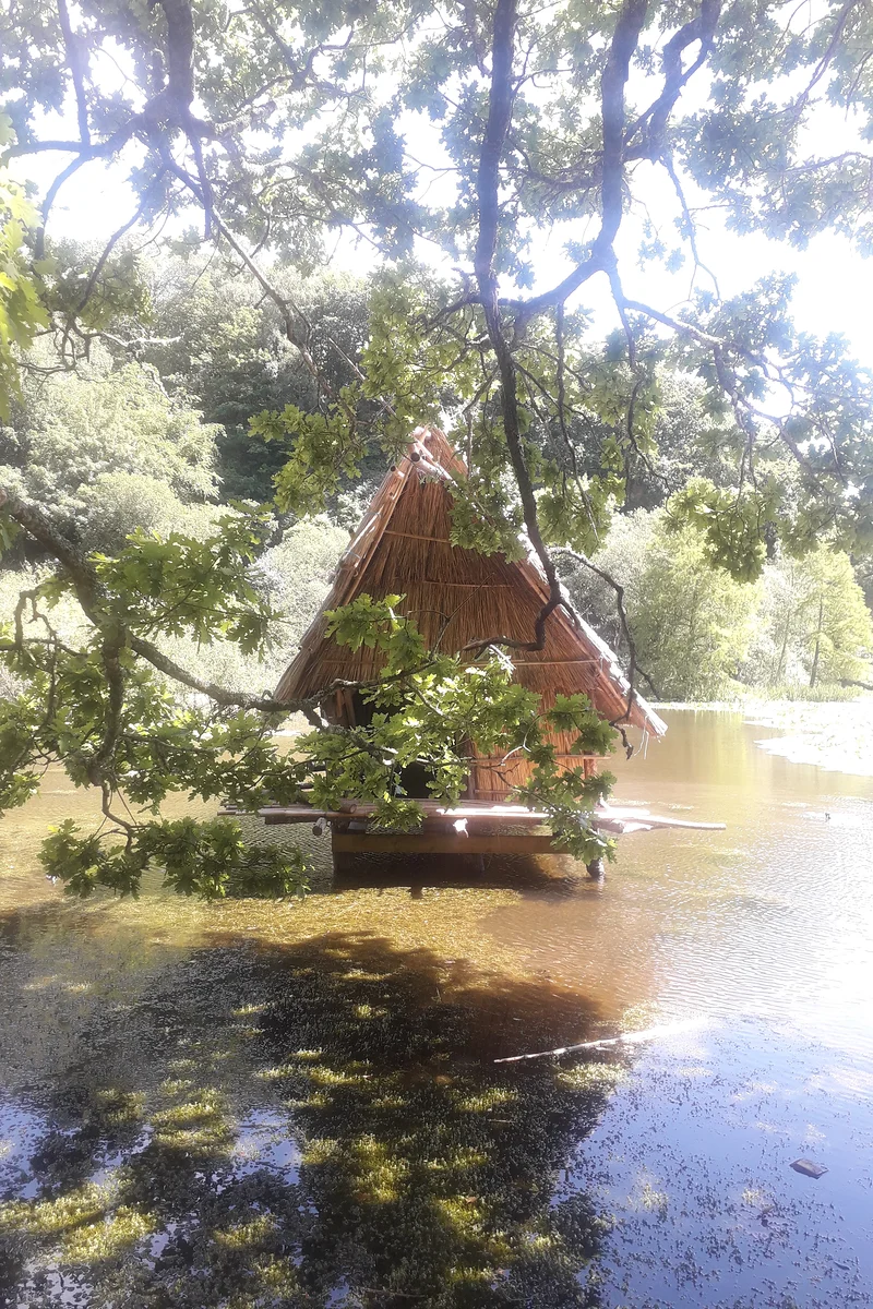 Vallon du Stang-Alar — Brest (France)