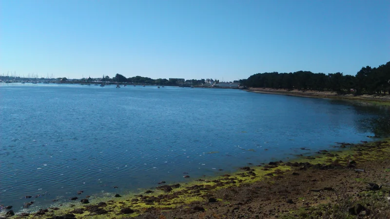 Petit port — Larmor-Plage (France)