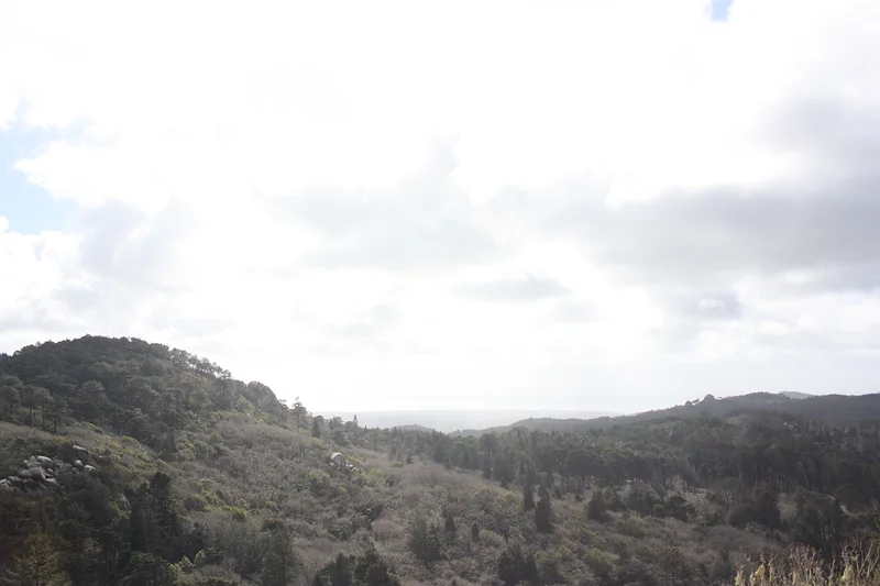 #8 Palais national de Sintra