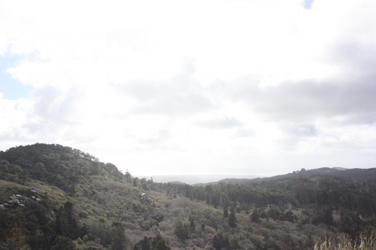 #8 Palais national de Sintra