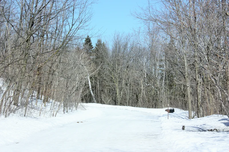 Mont Royal — Parc du Mont-Royal (Canada)