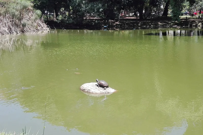 Parc Moinhos de Vento