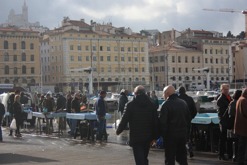 La criée — Vieux-Port de Marseille (France)