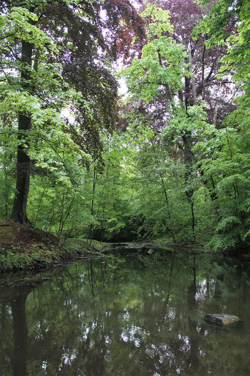 Amazônia ? — Citadelle de Lille (France)