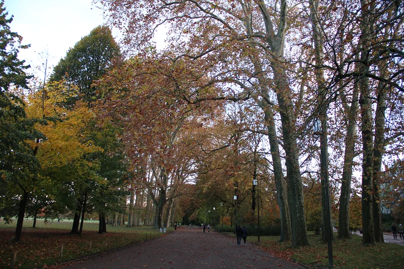 Parc de la tête d'or — Parc de la Tête d'or (France)